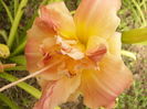 P1290529