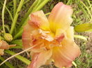 P1290531