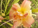 P1290532