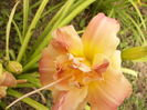 P1290533