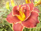 P1290541