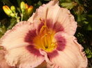 P1290547