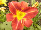 P1290555