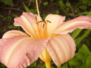P1290571