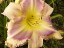 P1290578