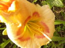 P1290586