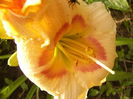 P1290588