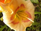 P1290591