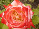P1290595