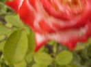 P1290596