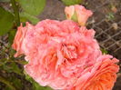P1290600