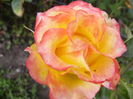 P1290640