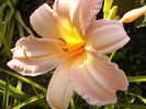 P1290680