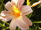 P1290681