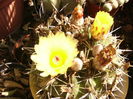 P1290723