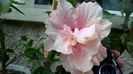 WP_20160630_17_27_57_Pro