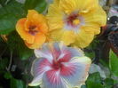 029