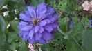WP_20160617_046