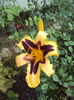 DSC04761
