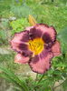 DSC04807