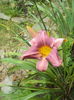 DSC04818