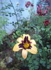 DSC05049