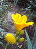 DSC05064