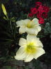 DSC05074
