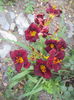 DSC05090