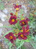 DSC05094