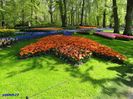 Keukenhof.06.05.2016 267