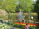 Keukenhof.06.05.2016 301