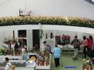 Keukenhof.06.05.2016 384