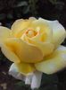 20160701_080328