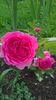 WP_20160701_18_53_58_Pro