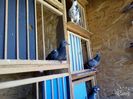 IMG-20160701-WA0021