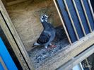IMG-20160701-WA0014