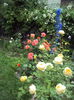 DSC02498