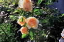 IMG_20160702_075028
