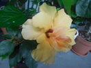 DSCN0976