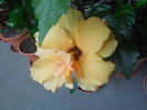DSCN0979