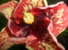 014