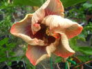 036
