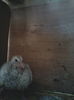 20160702_125239