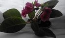 20160702_173021