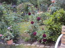 DSC01795