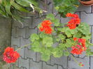 DSCN0507[1]