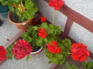 DSCN0524[1]