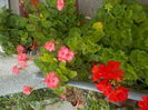 DSCN0526[1]