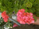 DSCN0525[1]